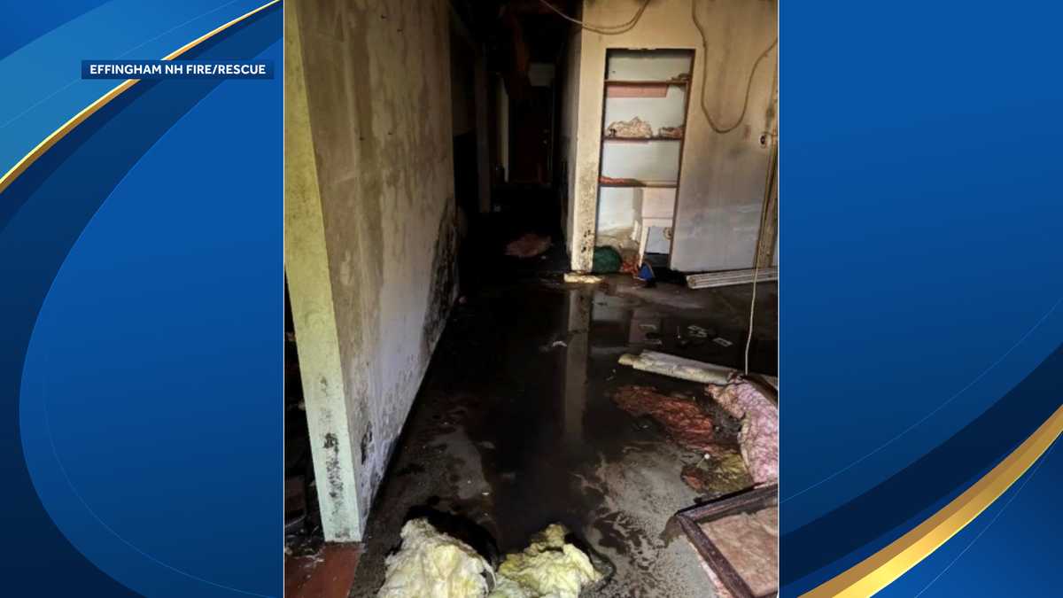 Effingham Motel Fire: 15 Residents Displaced Following Safety Violation Discovery