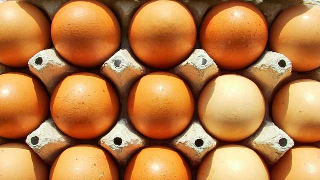 House may pass bill to prevent possible egg shortage - Vimarsana News