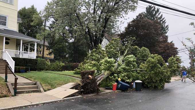 Strong winds down tree limbs, power lines leaving thousands without power
