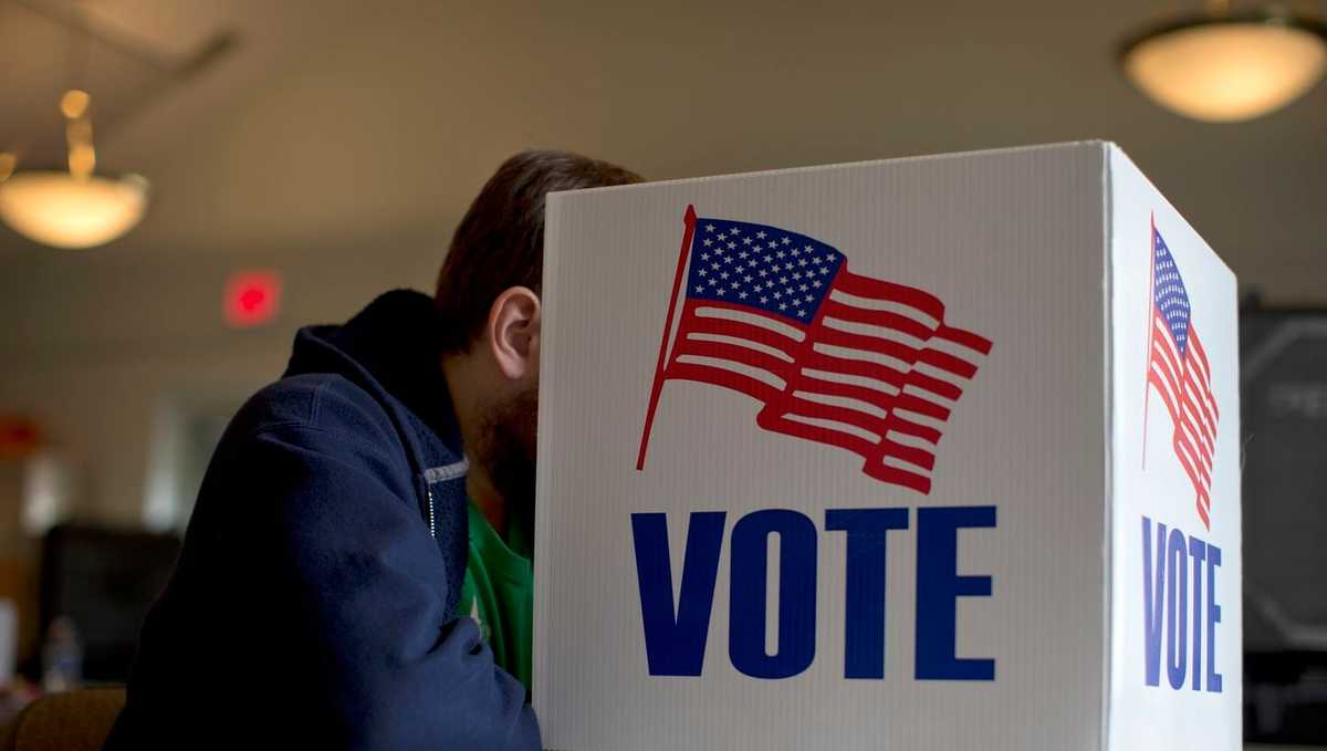 Georgia Voter Guide 2026: Everything to know before you cast your vote