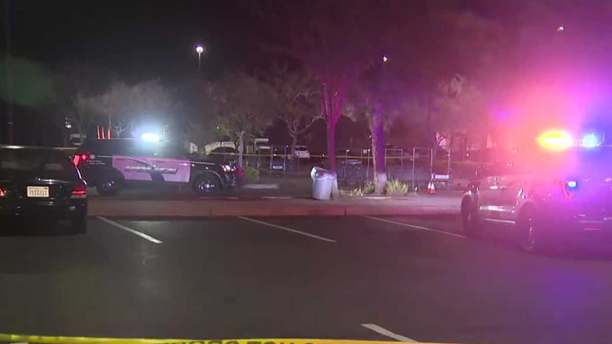 2 arrested in Elk Grove grocery store shooting