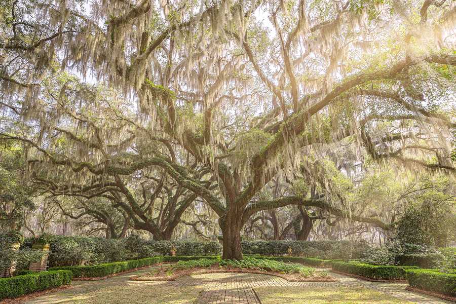 South Carolina: A look inside historic Bonny Hall Plantation