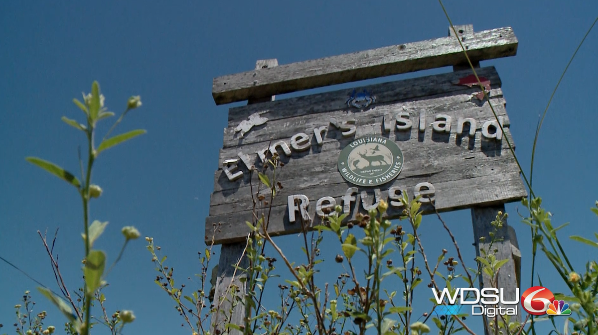 Help Louisiana Department of Wildlife and Fisheries clean up Elmer's Island