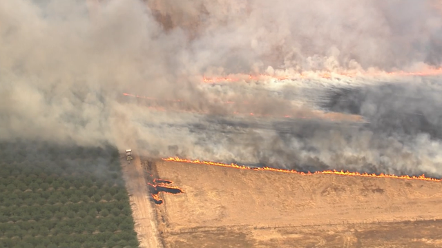 Crews work to contain vegetation fire in Elverta