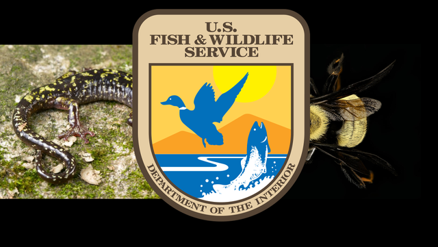 South Carolina: Species in SC, NC, GA could go on endangered list - Vimarsana News