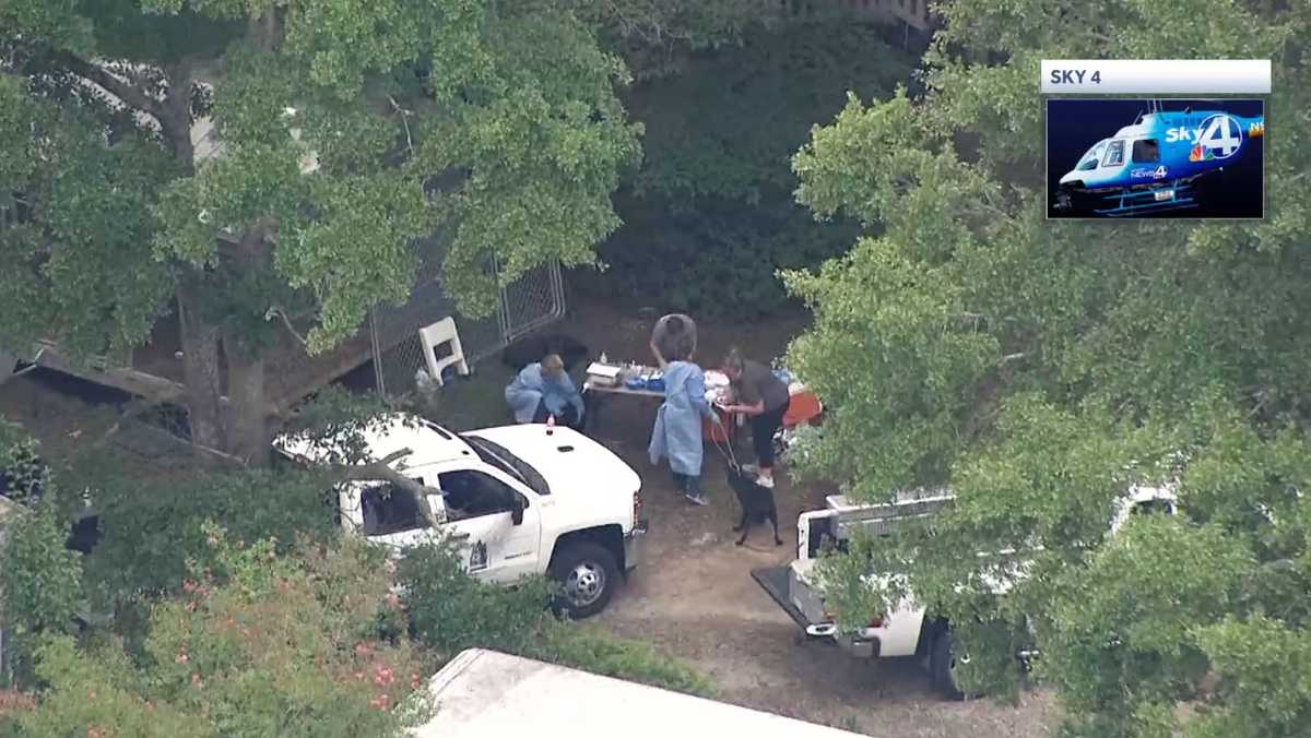 South Carolina: Dead dogs found at home, 42 dogs removed - WYFF