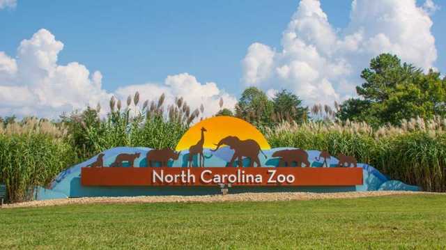 North Carolina Zoo closed, evacuated due to bomb threat - Vimarsana News