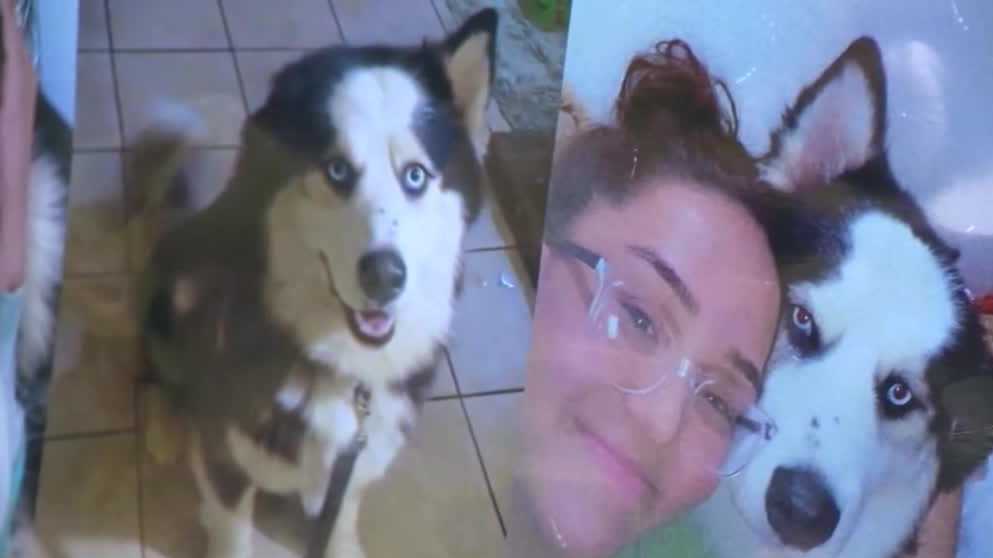 Lodi family accuse police of tasing and killing their dog Lodi family accuse police of tasing and killing their dog