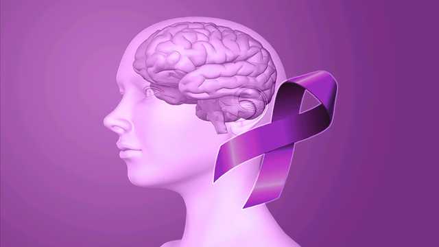 Registration deadline extended for Children's of Alabama Help End Epilepsy car tag - Vimarsana News