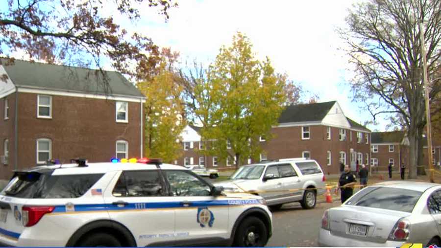Police investigate Essex double shooting after man dies