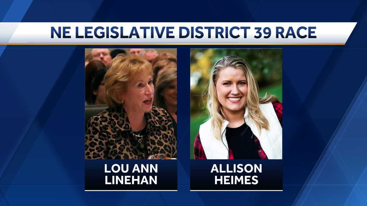 Meet the candidates for Nebraska Legislative District 39 Lou Ann