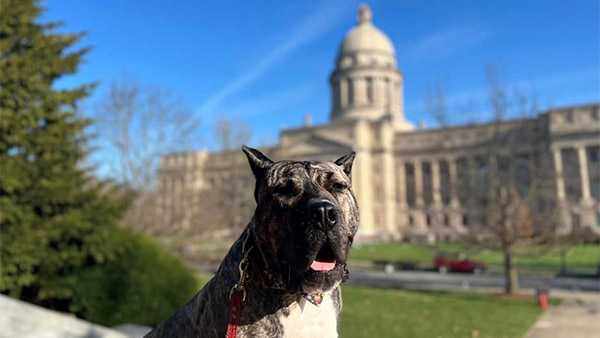 Ethan&#x20;at&#x20;the&#x20;Kentucky&#x20;State&#x20;Capitol