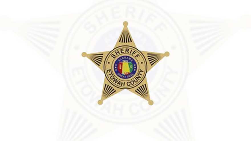Armed with 171 warrants, Alabama deputies arrest 85 in 'Operation RACK EM UP' - Vimarsana News