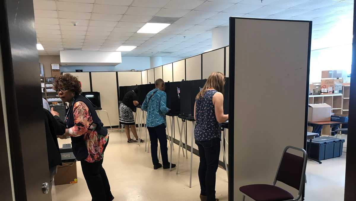 Early voters cast their ballots in Forsyth County