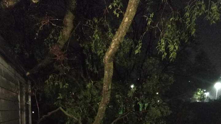 PHOTOS: Storms leave trail of widespread damage across the region