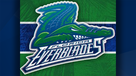 Florida Everblades hockey 6-13