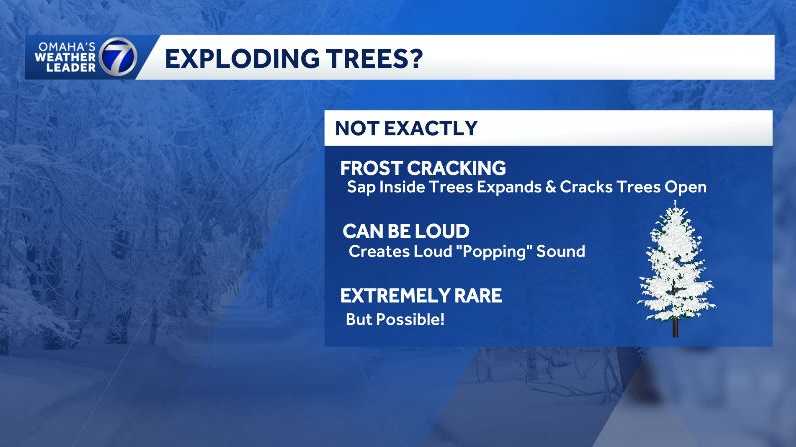 Can trees actually explode during extreme cold? KETV explains the science behind it
