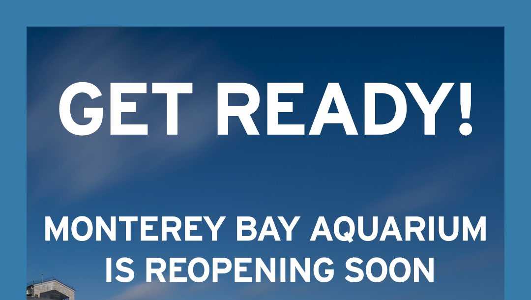 Monterey Bay Aquarium announces reopening dates