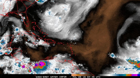 A Tropical Wave of the African Coast