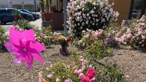 Police: Teen drunk driver who killed mother was unlicensed - Vimarsana News