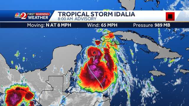 Tropical Storm Idalia to hit Florida: Latest spaghetti models - Vimarsana News
