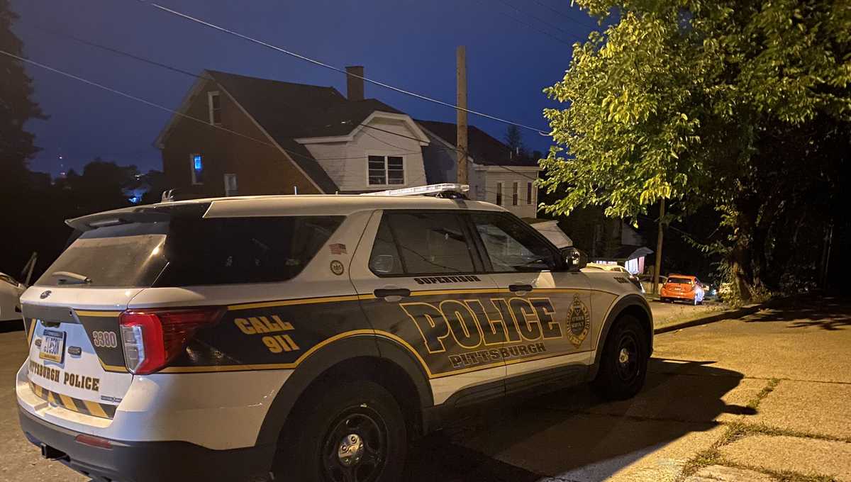 Mount Oliver shooting Parkwood Road in Pittsburgh