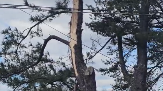 Tornado confirmed in Martinsville after severe weather, NWS says