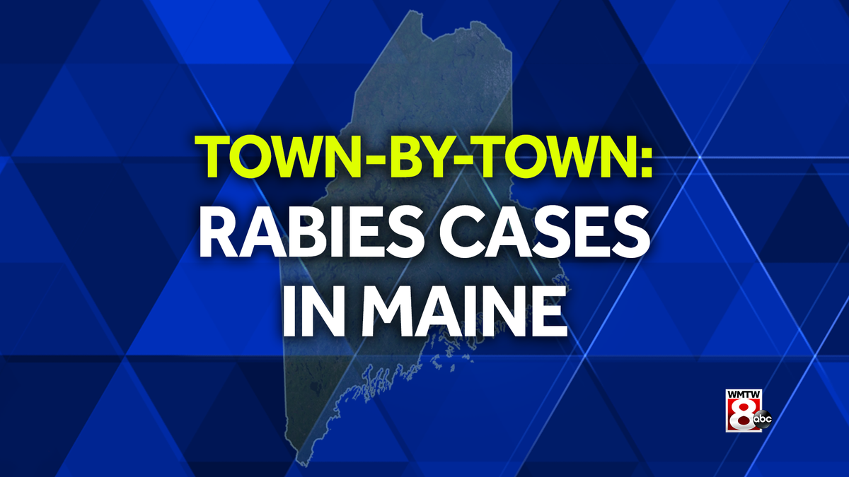 More than 40 rabies cases reported in Maine so far this year