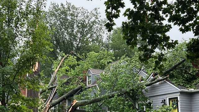 Where to take storm damage, keep track of power outages - Vimarsana News