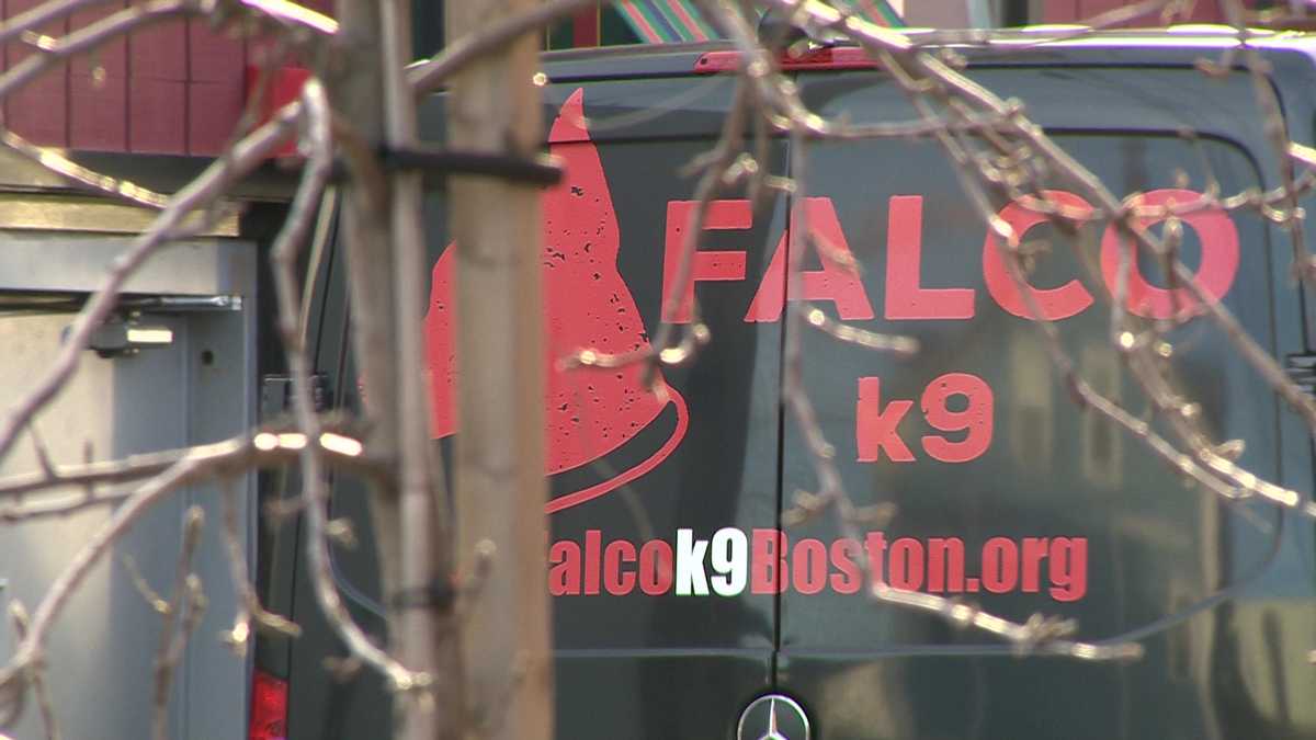 Massachusetts firefighter, former dog trainer charged with animal cruelty