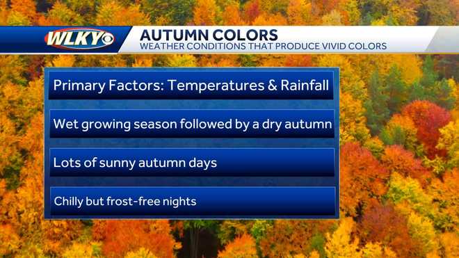 fall-colors-in-the-louisville-area-when-foliage-is-predicted-to-peak