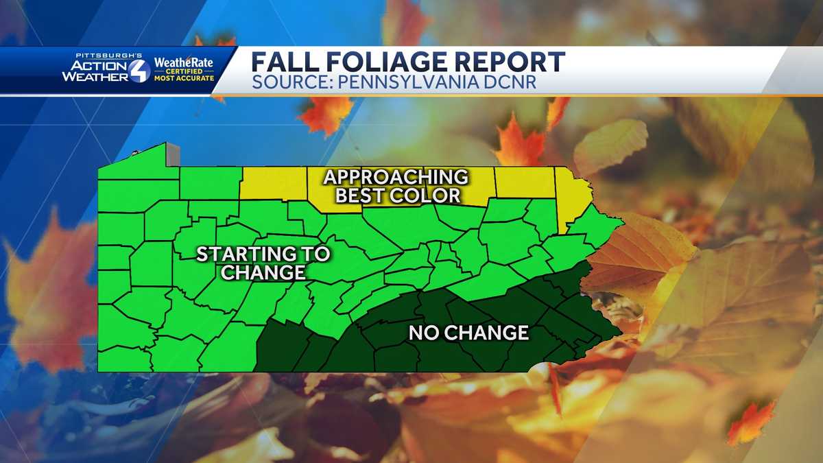 Pennsylvania fall foliage report: Leaves are changing colors now