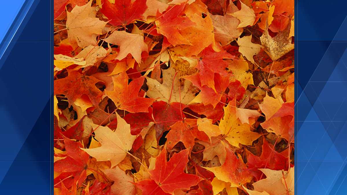 North Carolina 57th Annual Autumn Leaves Festival takes place in Mount