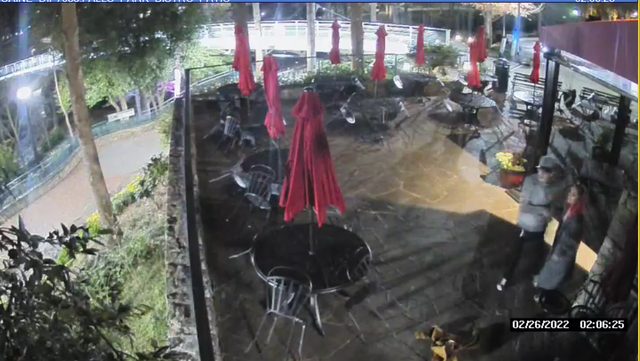 Greenville: Help wanted identifying suspects damages at Falls Park - Vimarsana News