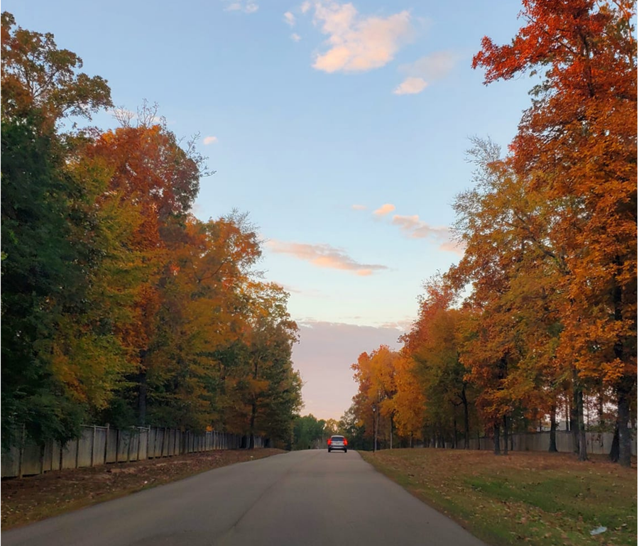 Check out these beautiful fall pictures around Mississippi