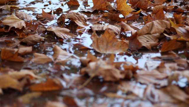 South Carolina: Mild but slightly cool Wednesday, new rain timing