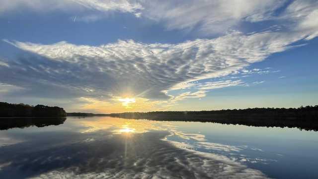 Savannah: Thanksgiving week milder, rain chances return - Vimarsana News