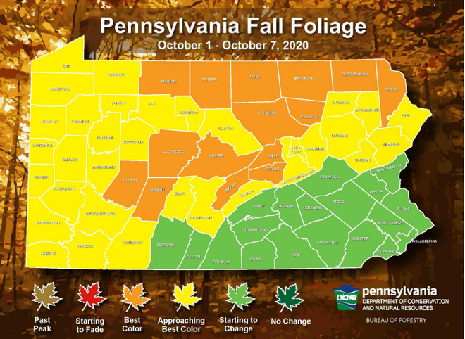 Fall foliage nearing its peak in most of southwestern Pa.