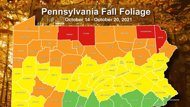 Dcnr Fall Foliage Report Pa. Fall Foliage: Some Parts Of State Peaking In Color This Week