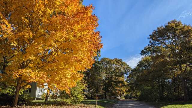 Weekly tips for finding the best fall colors in New England - Vimarsana News