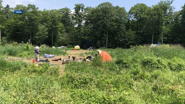 Dozens facing violations related to Rainbow Family gathering in NH - Vimarsana News