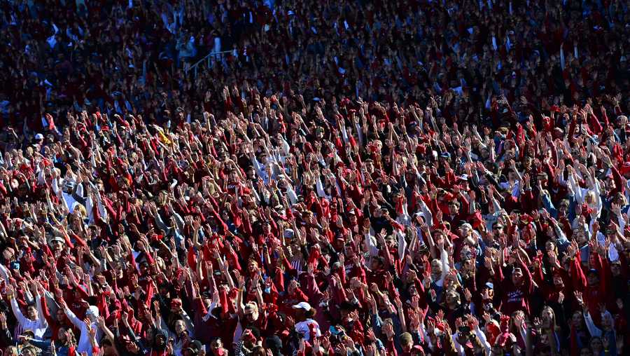 fans calling the hogs