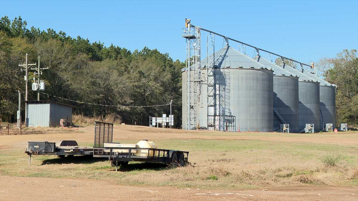 Rising input costs and falling grain prices leave Mississippi farmers eyeing Trump's $12B bailout
