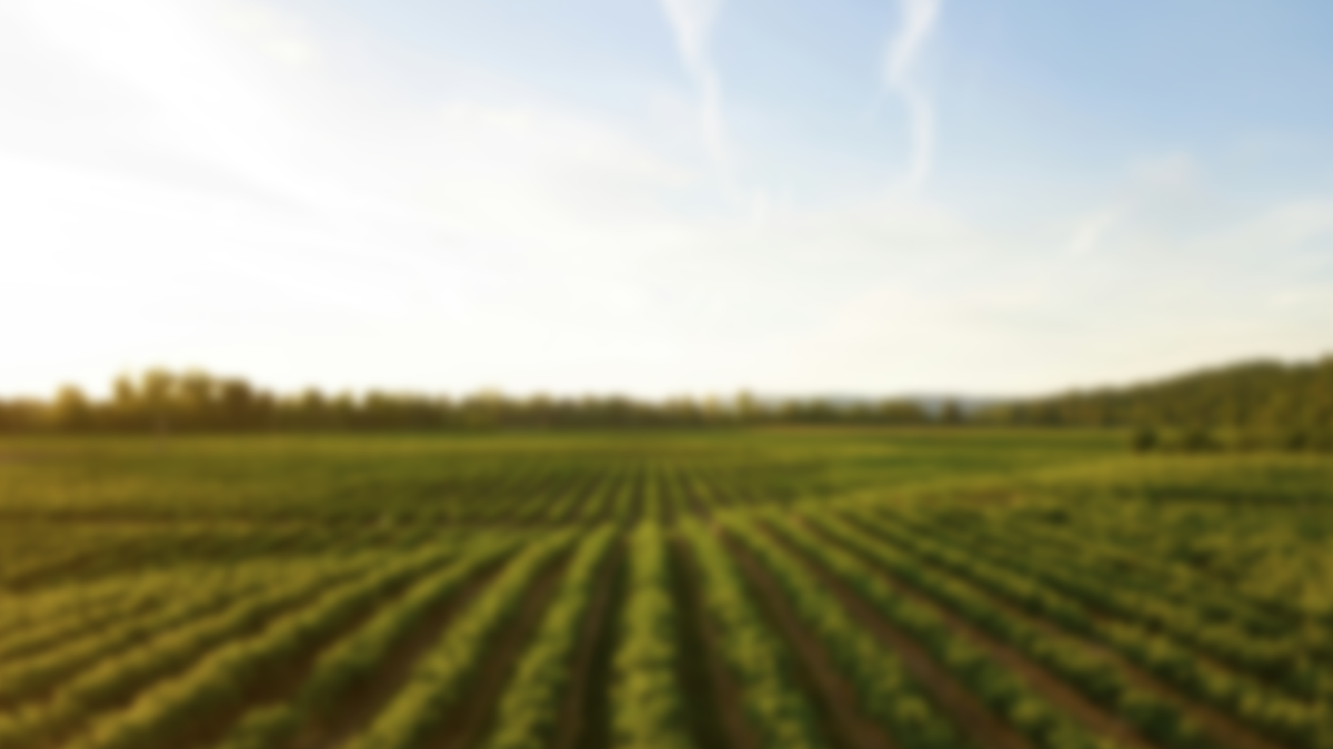 South Carolina voters to choose first new agriculture commissioner in over 20 years