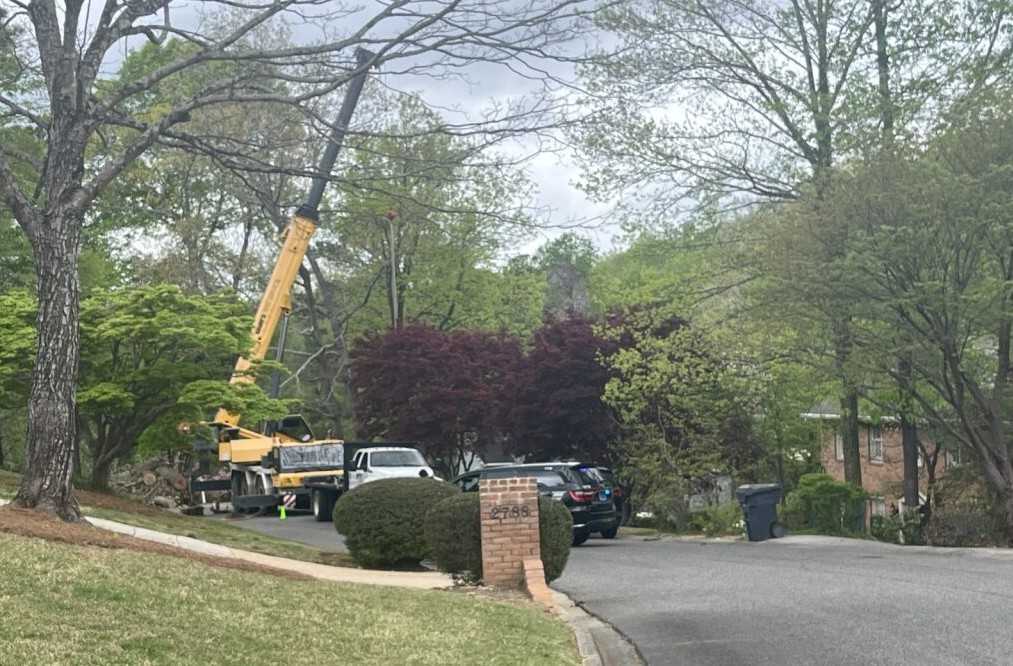 Man dies in fall while cutting tree in Vestavia Hills neighborhood - WVTM