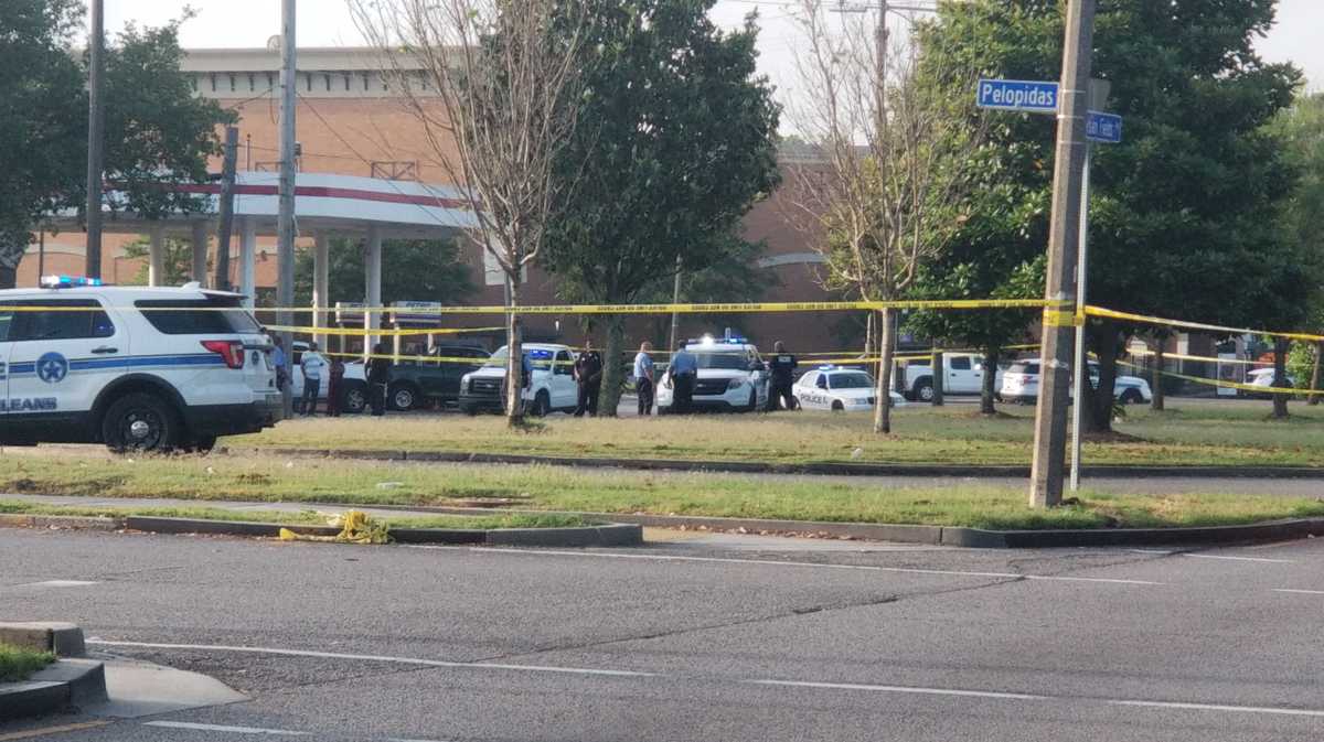 Fatal crash reported on Elysian Fields