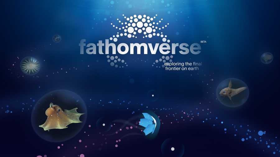 FathomVerse Beta crab logo