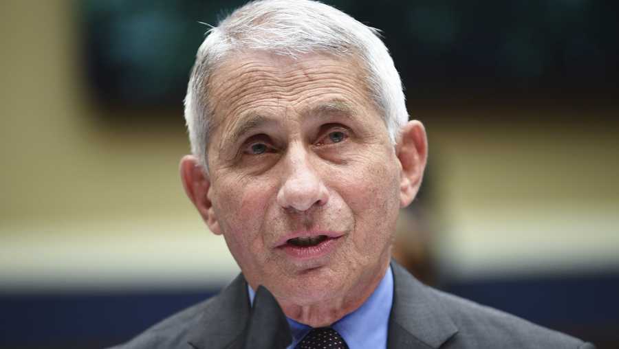 Director of the National Institute of Allergy and Infectious Diseases Dr. Anthony Fauci testifies before a House Committee on Energy and Commerce on the Trump administration's response to the COVID-19 pandemic on Capitol Hill in Washington on Tuesday, June 23, 2020.