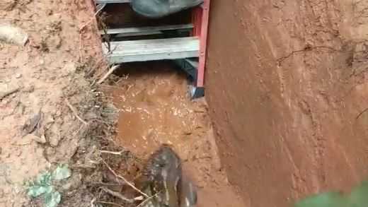 Crying fawn trapped in muddy pit overnight on property in Piedmont rescued