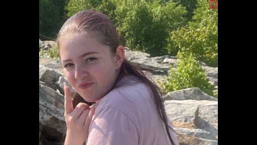 Swatara Township searching for teenager reported missing - Vimarsana News